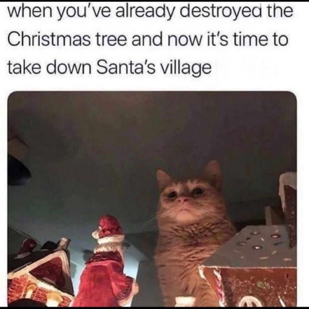 🎅🏼🎄🎁